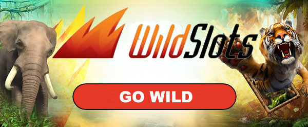 Play at WildSlots casino